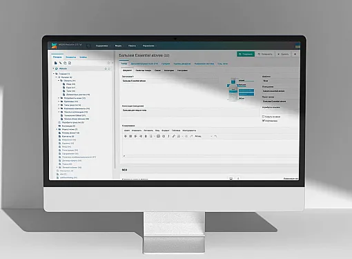 Показано картинка настройки на CMS и наполнение