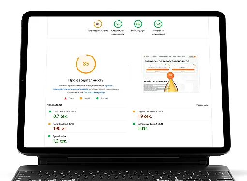 Картинка Page Speed insights 11