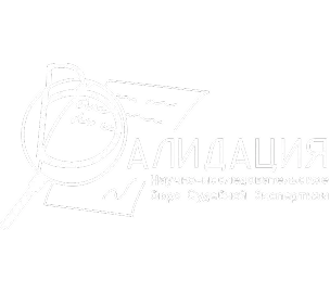 Логотип НИБНЭ Валидация